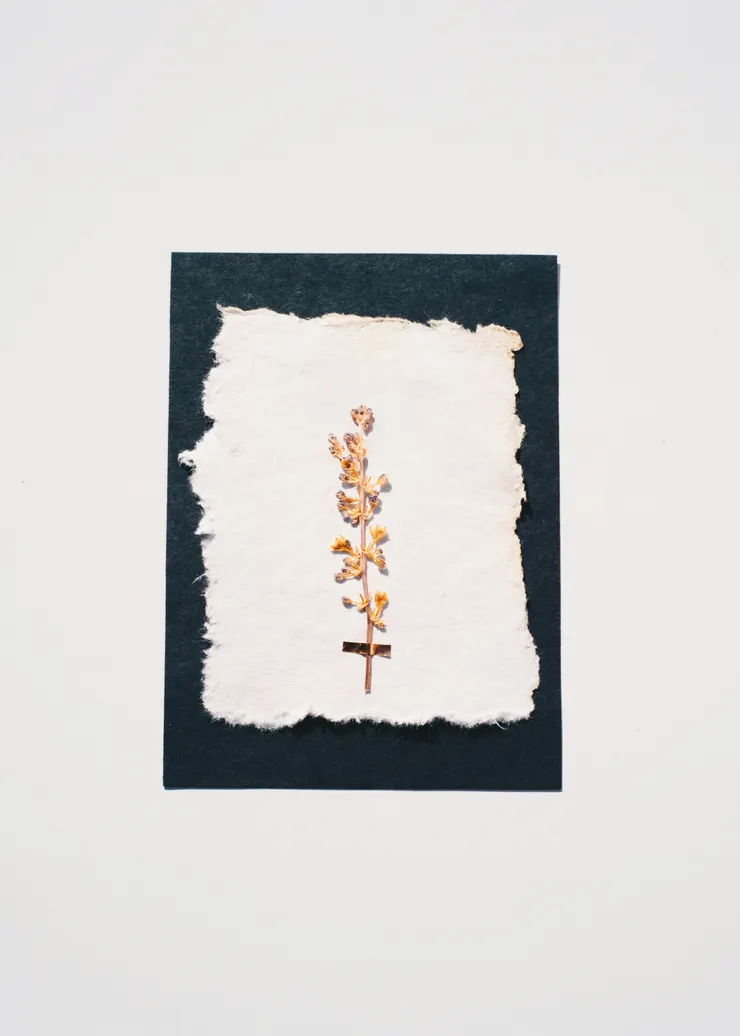 evie-s-qLpf369DrCw-unsplash