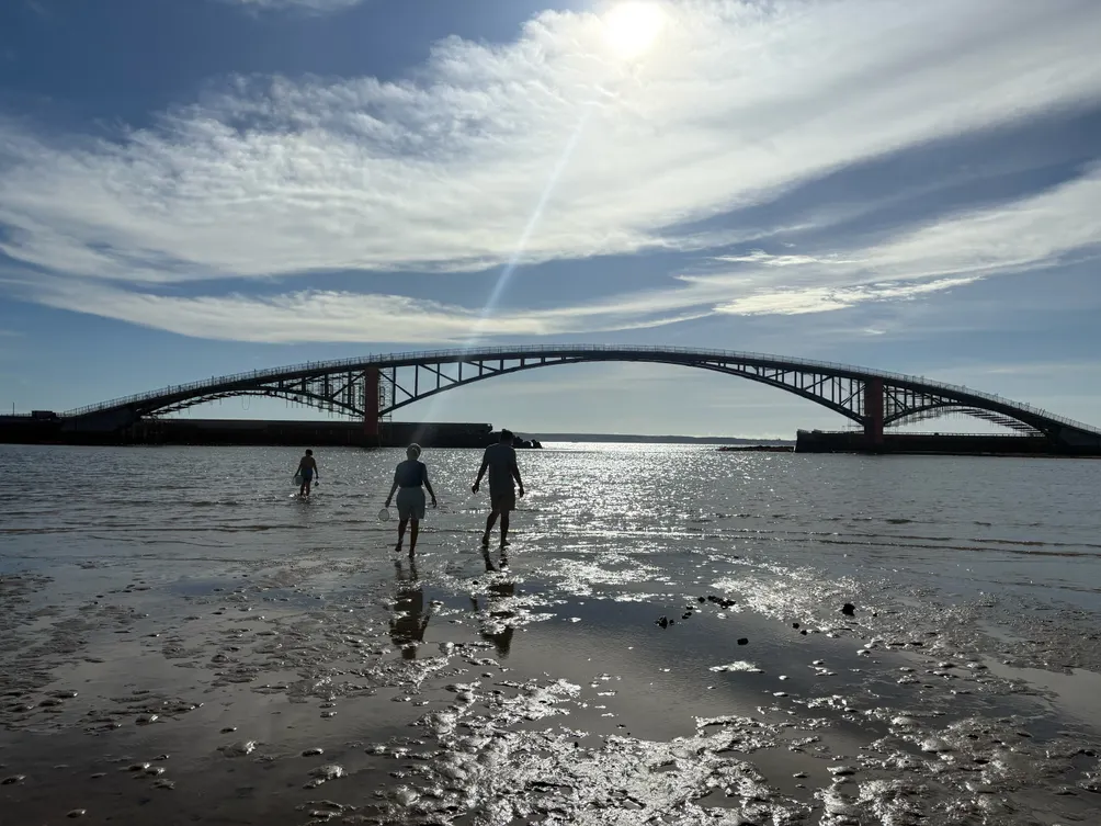 蘋果伶的平凡生活