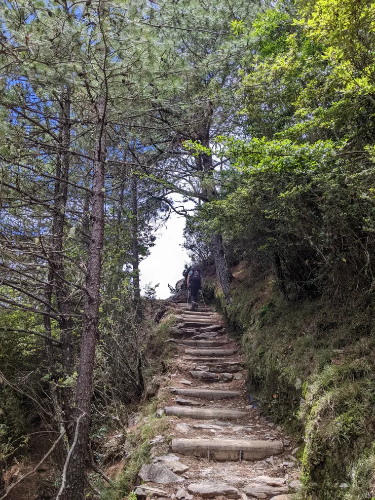 就快回到登山口了！