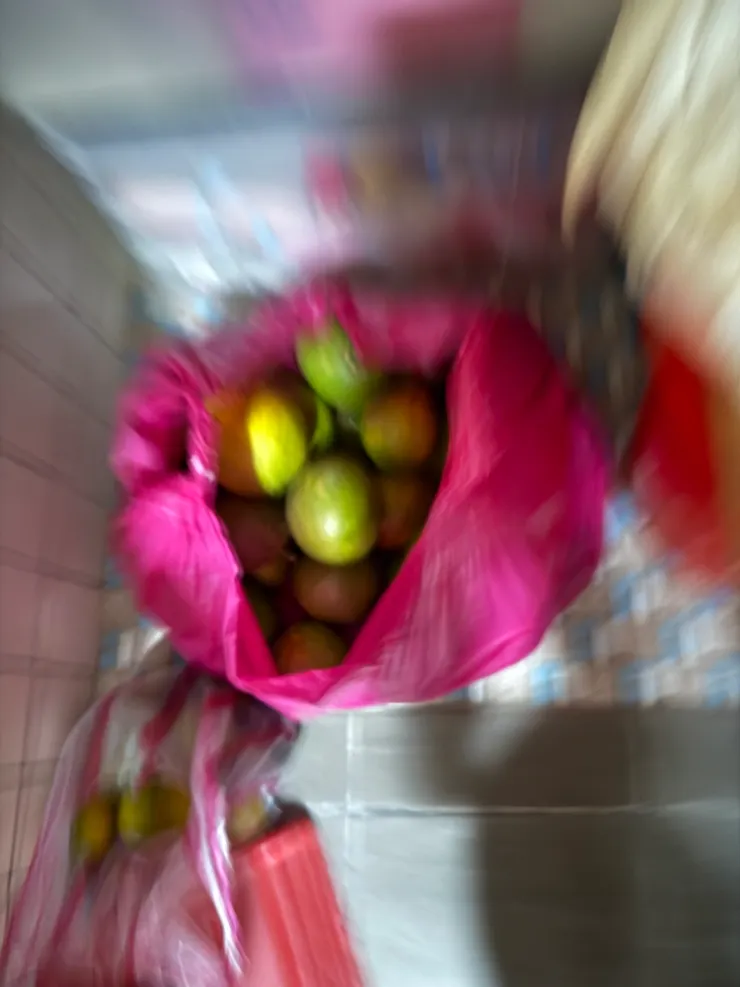 2025/11/09 千辛萬苦摘的葡萄柚