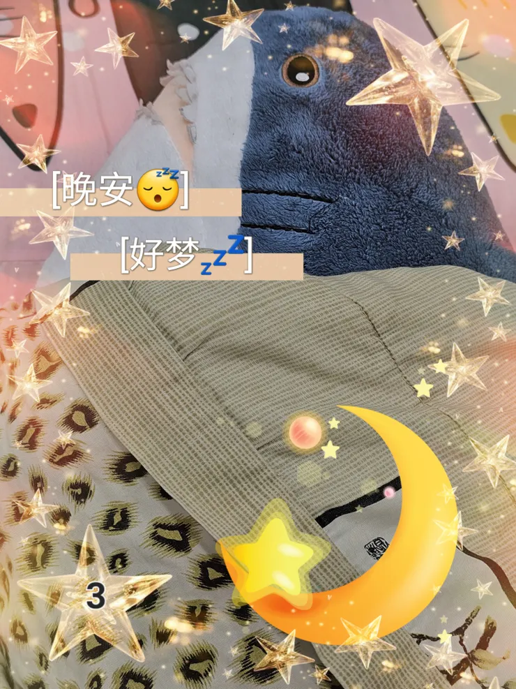 圖。文／布恣芽朵