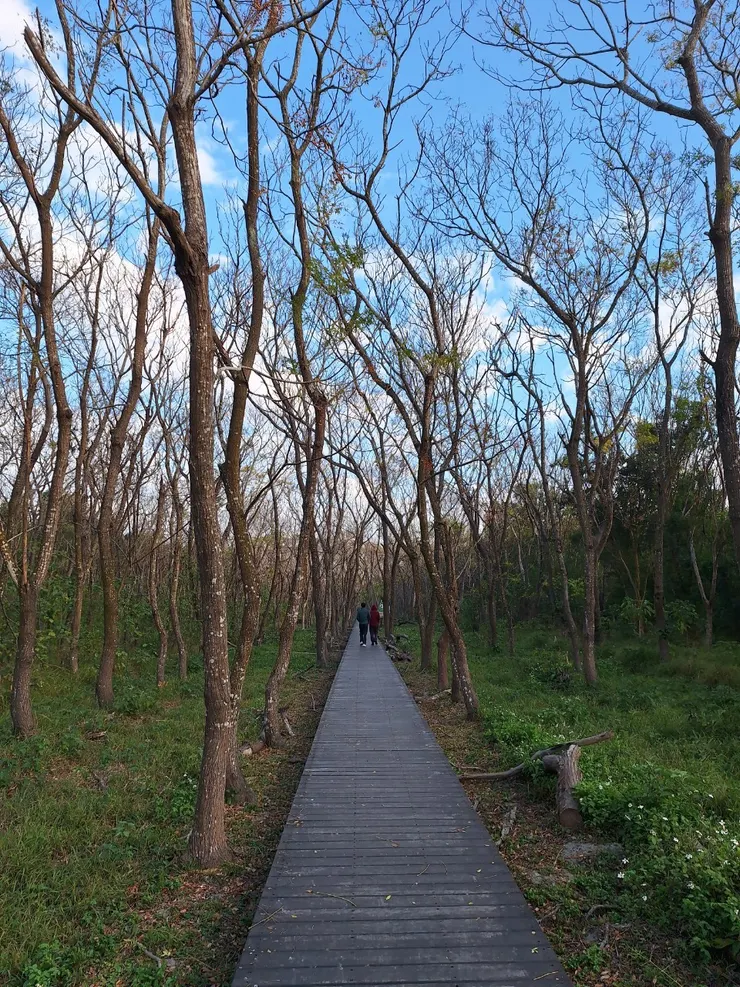 剛好拍到路人的背影