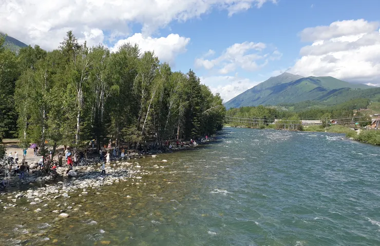 另一邊是我們旅拍的白樺林