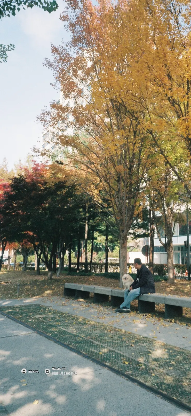© pic.chy_ | Minolta TC1 - FUJIFILM C200日版  