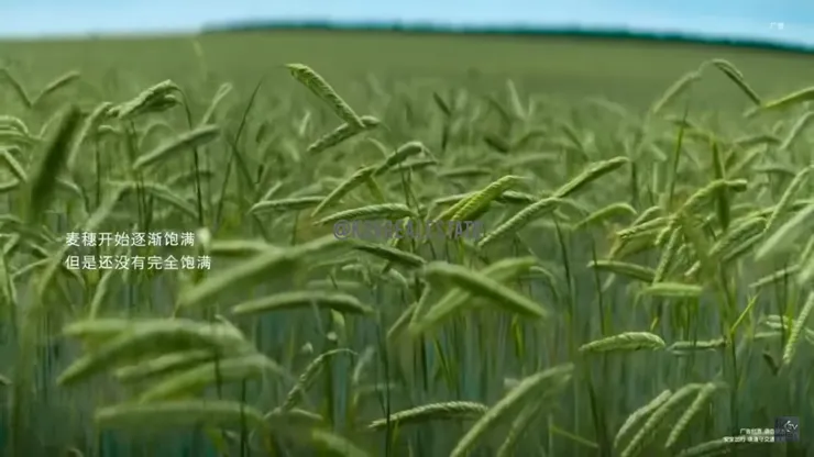 華仔所代言的汽車形象廣告—小滿