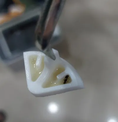 「蟻」為食亡😢