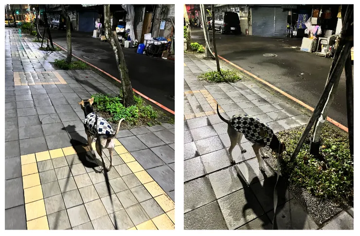 天氣又濕又冷，在戶外走路都變慢了