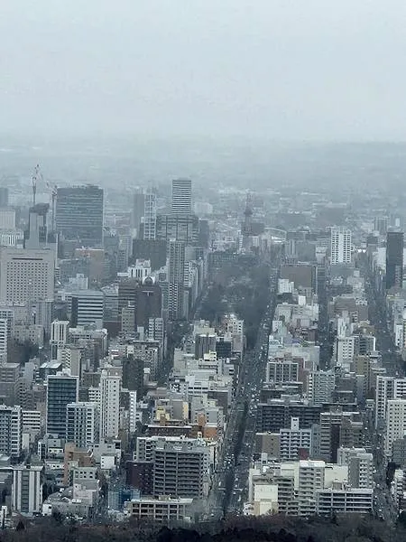 下雪中，灰濛濛的札幌市景
