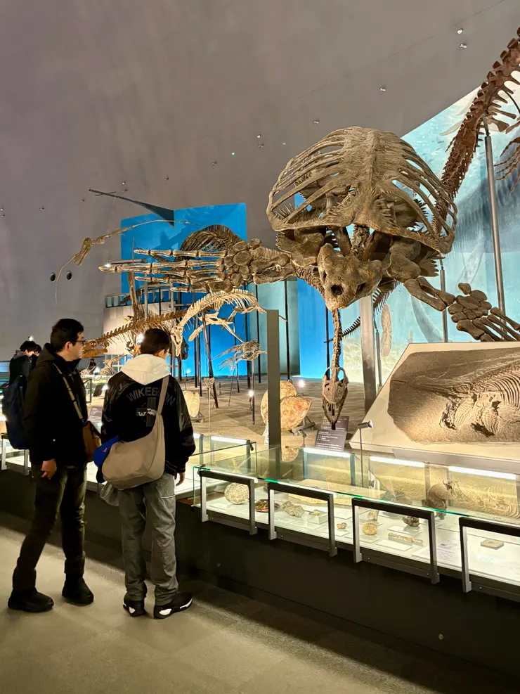 人類站在古代海龜的面前,真的有點渺小…