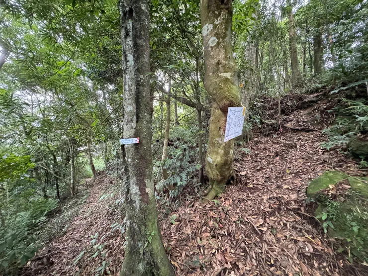 1249 抵逹內詩朗山/金平山叉路