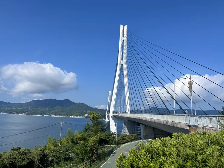 這個就是鼎鼎大名的多多羅大橋本人~~