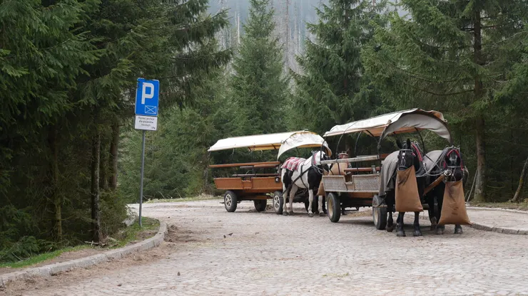 抵達馬車的終點-Polana Włosienica