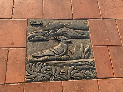 金門清遠湖—鳥兒地磚🪽