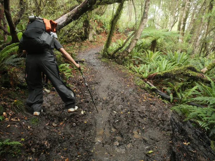 下了一天大雨，步道積水排不出去，處處是泥濘。
