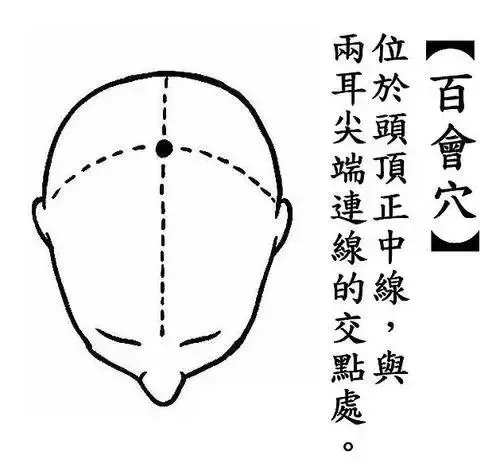 百會穴