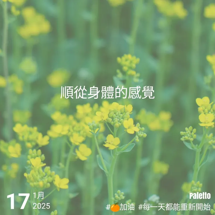 【桔言桔語•每天送給自己一句話】