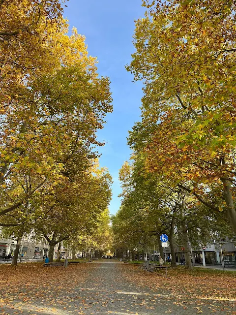 【德國旅遊】易北河畔的佛羅倫斯 - 德勒斯登Dresden