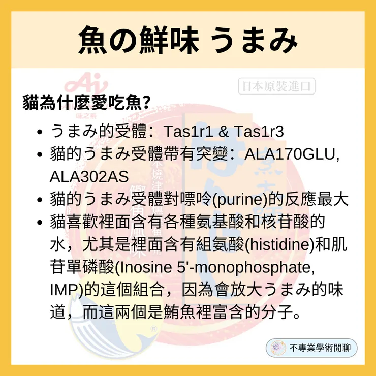 うまみ的味道