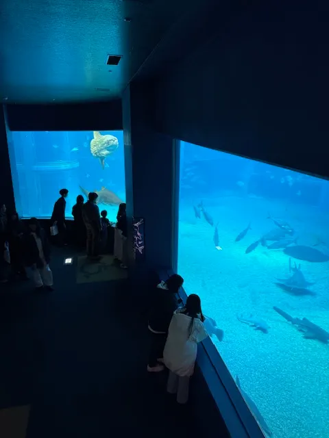 海遊館內部,photo by bookarchery