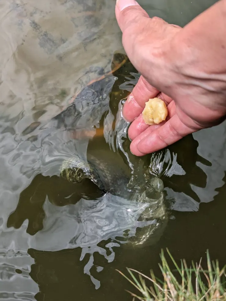 把食指當成香蕉