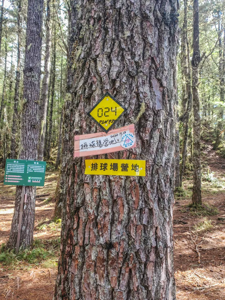 024排球場營地指標