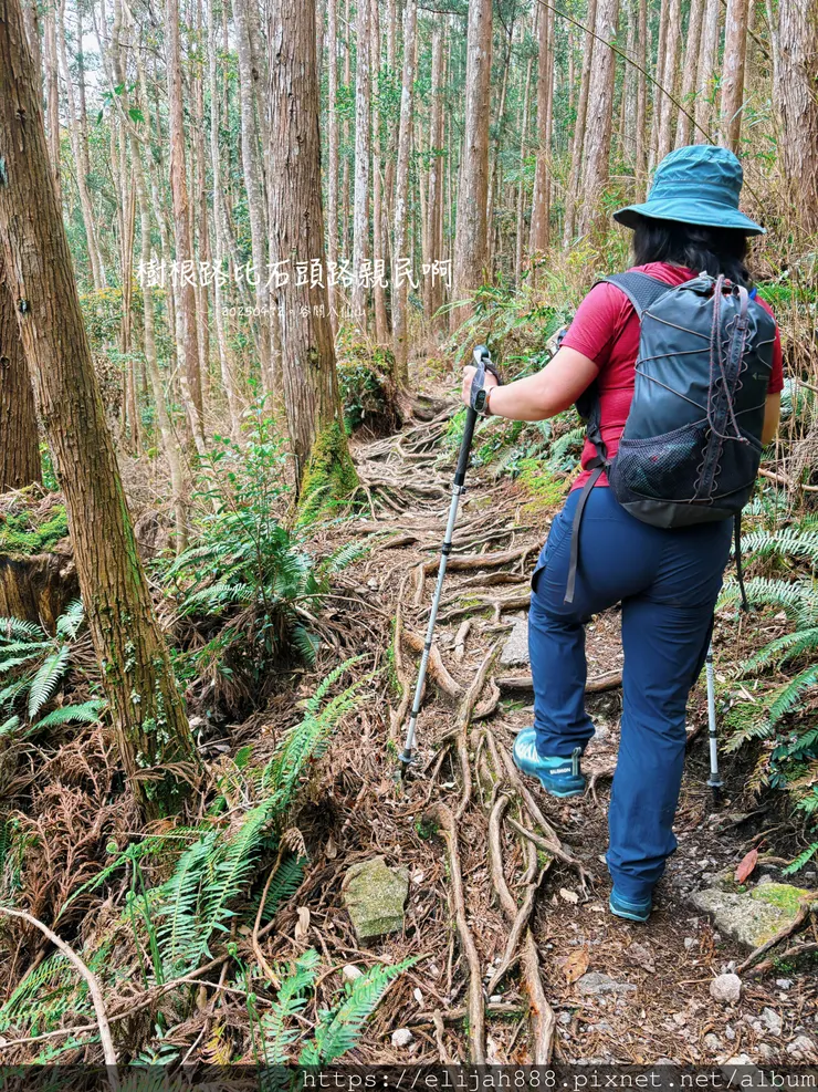 【谷關健行/住宿】谷關七雄老大。海拔2366公尺八仙山主峰。