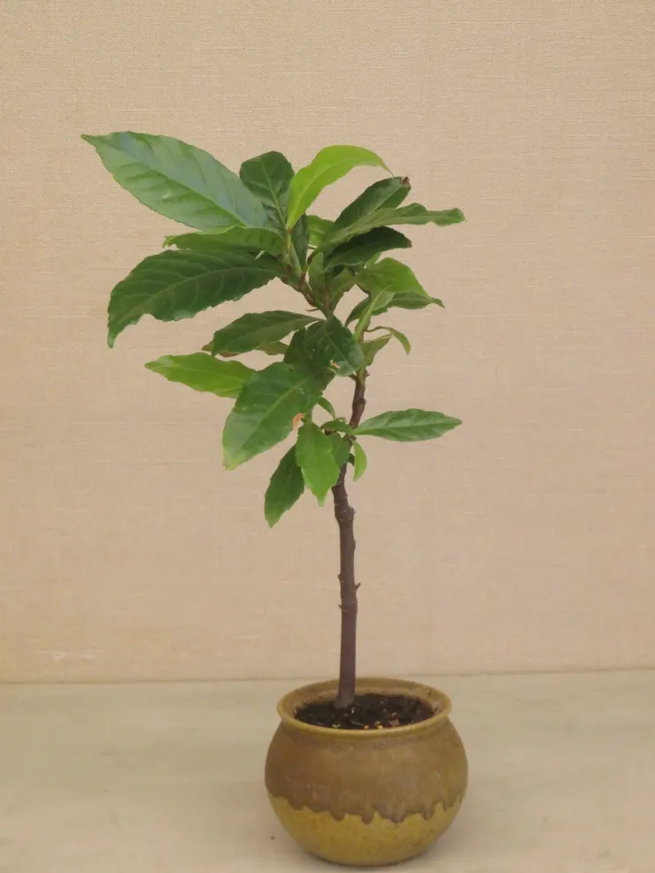 中山社大112.12.07