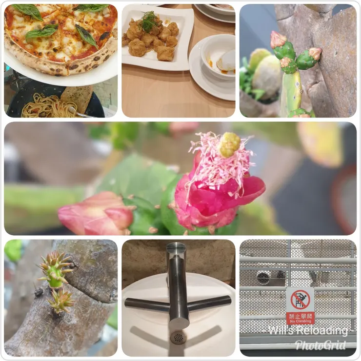 最近一次出國的片刻留念