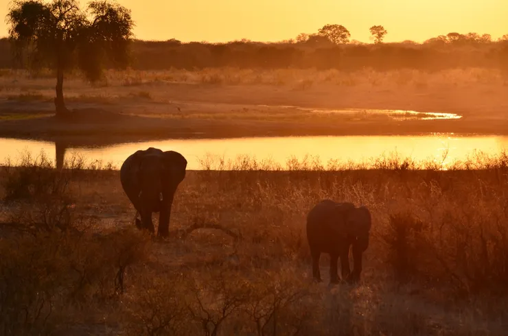 辛巴威國家公園裡好大的水坑