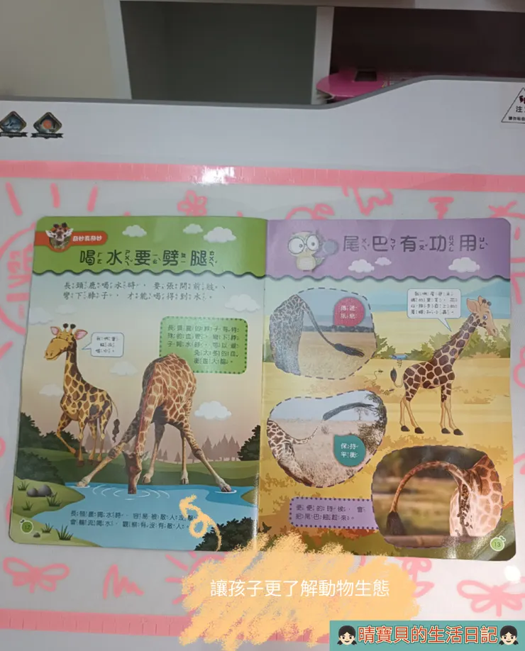 原來長頸鹿這樣喝水啊~