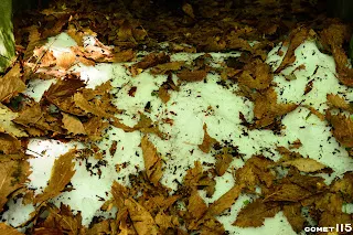 2號倉庫前居然還結冰