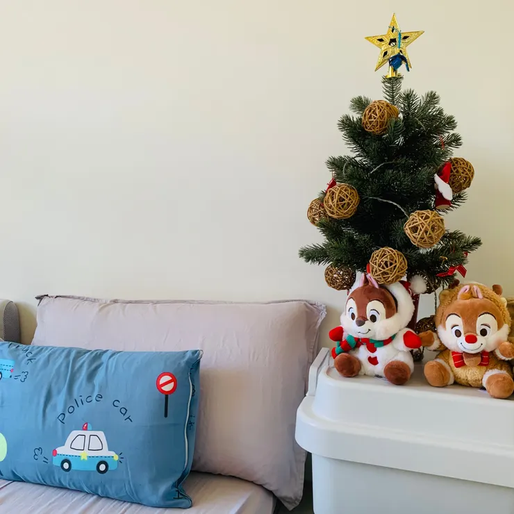 既然要在臥室放絨毛玩具（沒辦法，他們是兒子的陪睡最愛），就需要留意固定除塵與曬太陽的工作！