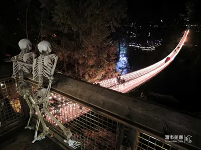 北溫｜既可愛又可怕，一腳踏入骷顱人世界的萬聖節公園