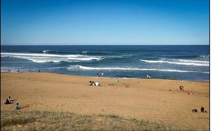 圖源:AMEP課程講義