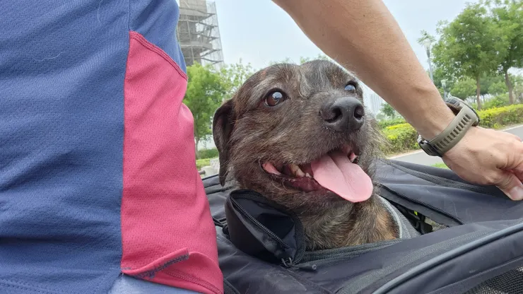 看得出來炭吉是真的很開心啊~