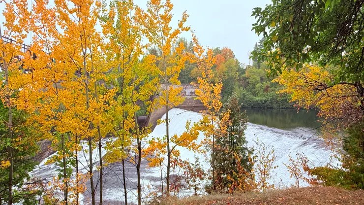瀑布周圍都是變葉木