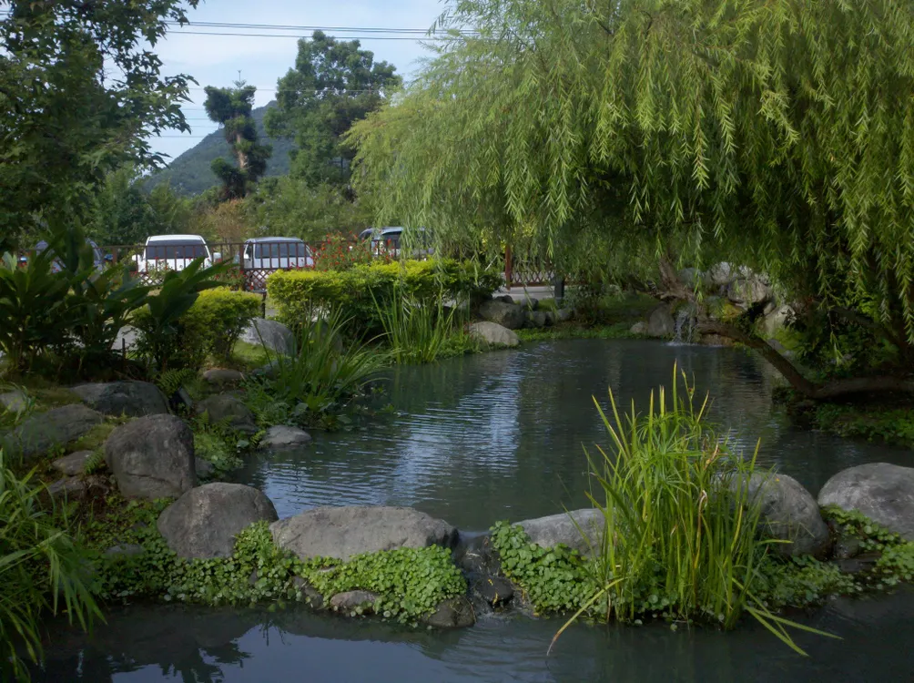 Kang-Ywe Lyau的沙龍