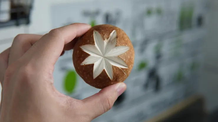 花刀裝飾的香菇