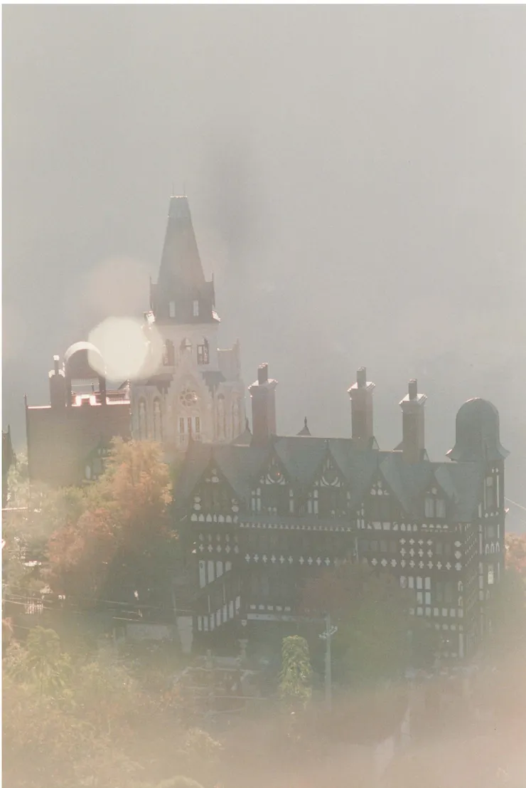 Shot by Emma @清境，台灣。20 / 11 /2010.