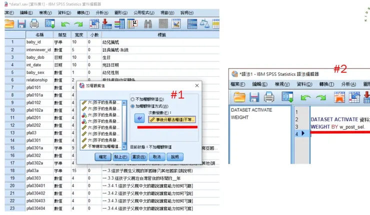 取自:SRDA縱貫資料之旅工作坊投影片