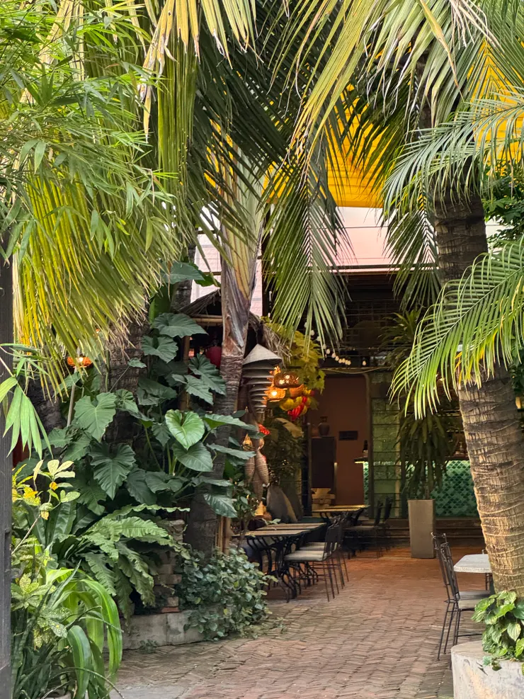 巷弄深處的咖啡廳