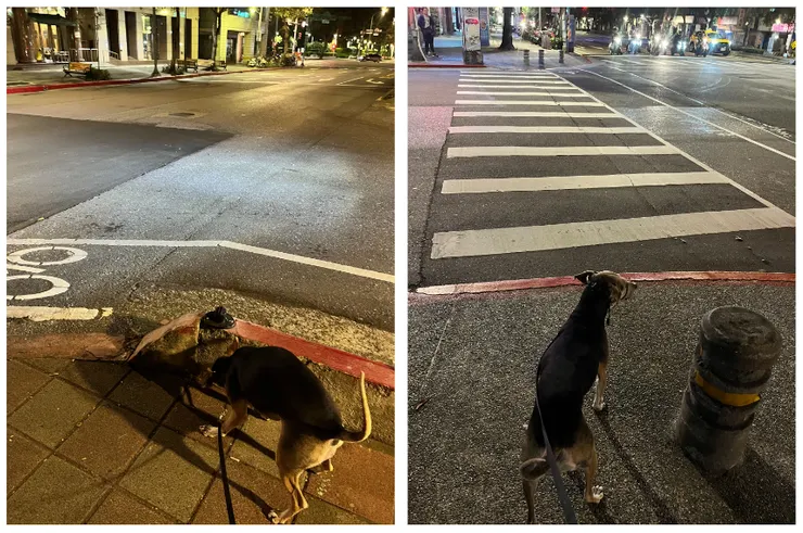 還嚇了路人一跳