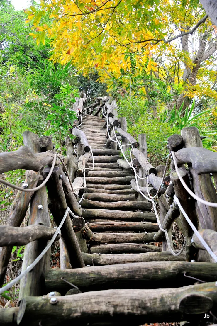 急急往上過天梯，攀向第一個觀景平台。