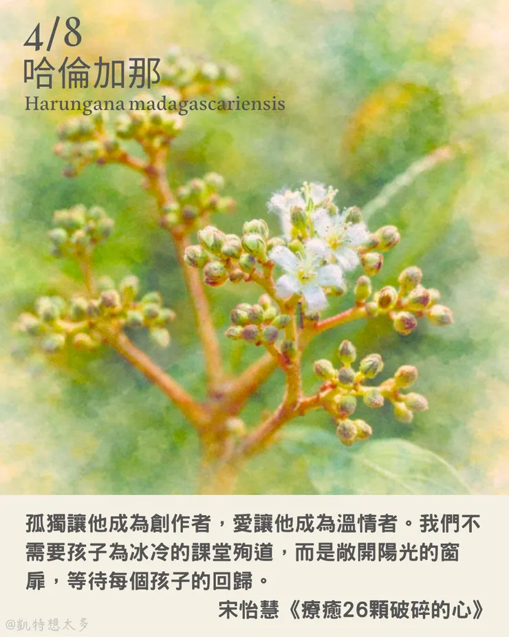 哈倫加那×宋怡慧《療癒26顆破碎的心》