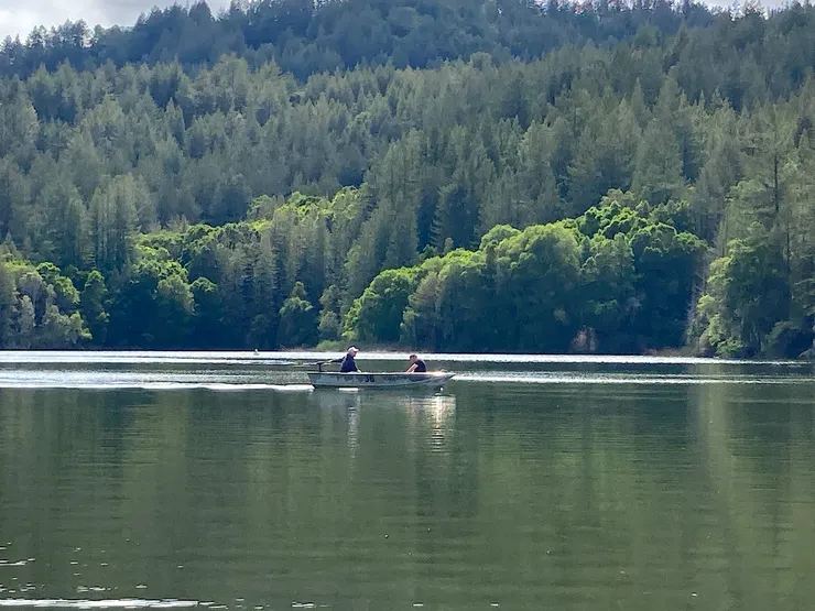 圖片來源：鱸魚