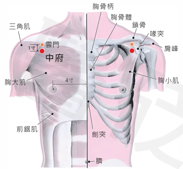 圖片來源：醫砭