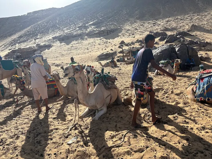 撒哈拉沙漠騎駱駝