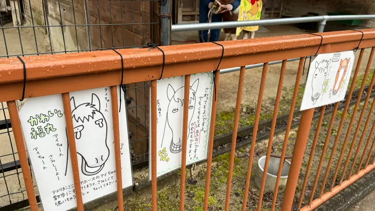 小朋友也能快速記得馬的名字。