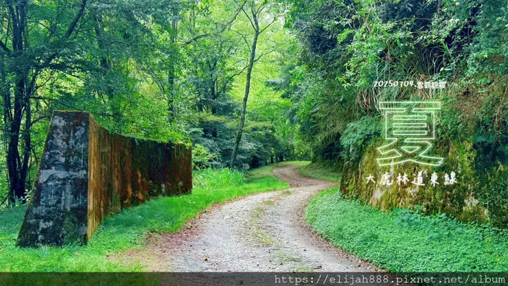 【大霸群峰4百岳。兩天一夜】觀霧大鹿林道東線騎越野單車/馬達