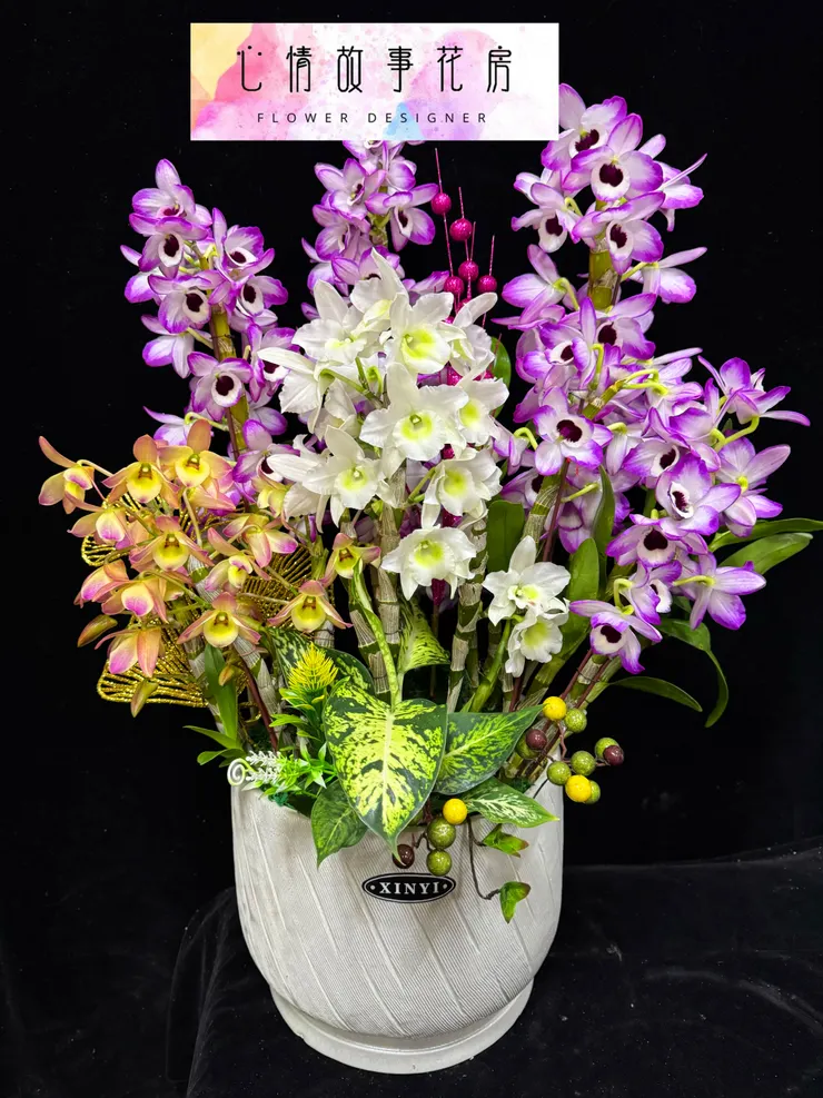 春天最美的賞花選擇——春石斛組合盆栽，為您的生活增添優雅氣息！ 台南心情故事花房